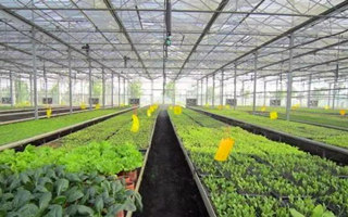 借網(wǎng)生大勢賺了兩年快錢后，考拉娛樂開始切入女性人群做點(diǎn)“慢”內(nèi)容