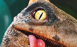 3ds Max：創(chuàng)建宏偉壯觀的世界和高質(zhì)量的設(shè)計